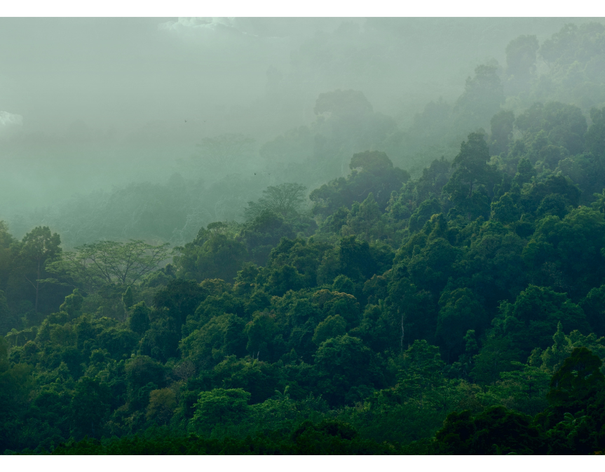 Growth Housing Naigaon